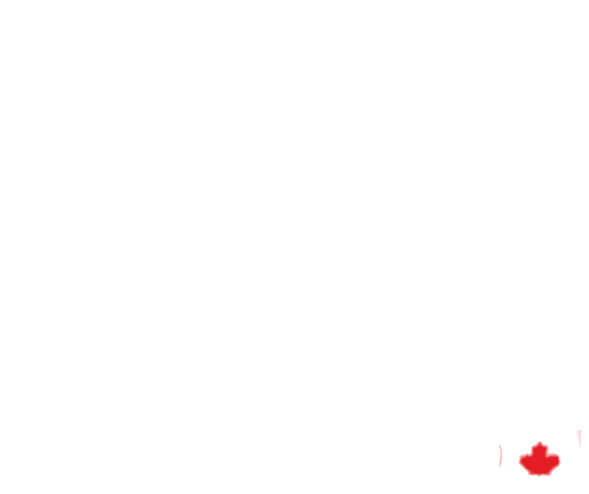 Level Up logo